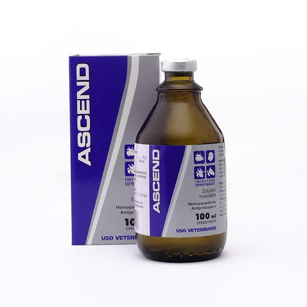 ASCEND (IMIDOCARB) x 100ml