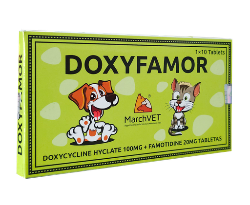 [MAR04] DOXYFAMOR x 10Tab (Doxiciclina 100mg + Famotidina 20mg) 
