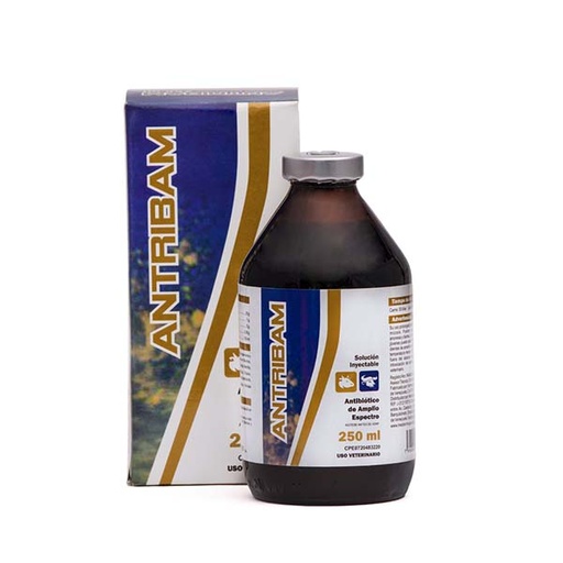 [FMV024] ANTRIBAM x 250ml